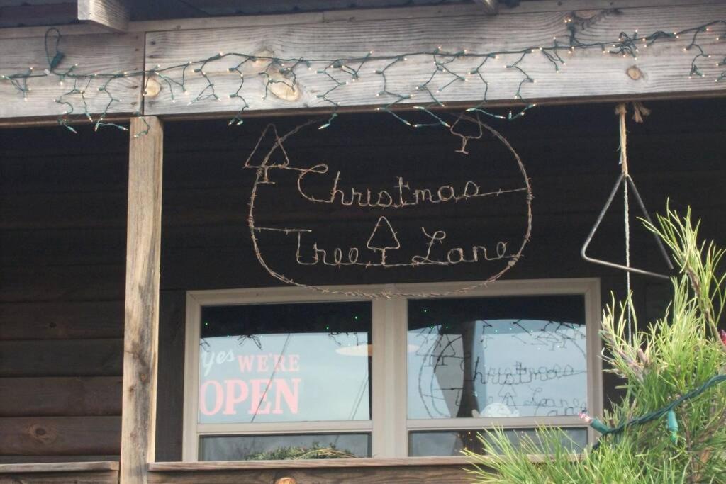 Rural Life On A Real Christmas Tree Farm! Hallmark Experience! Ozark Zewnętrze zdjęcie