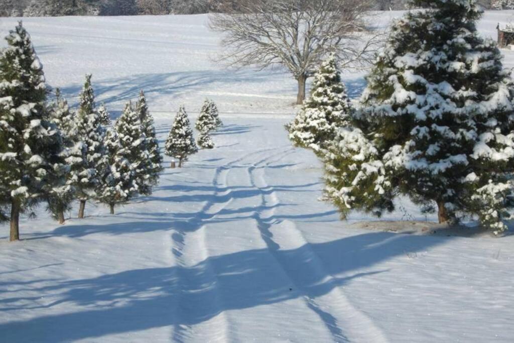 Rural Life On A Real Christmas Tree Farm! Hallmark Experience! Ozark Zewnętrze zdjęcie