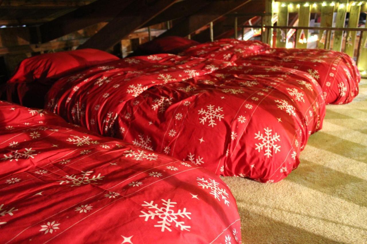 Rural Life On A Real Christmas Tree Farm! Hallmark Experience! Ozark Zewnętrze zdjęcie