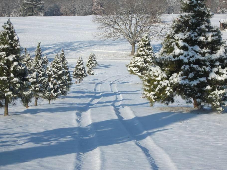 Rural Life On A Real Christmas Tree Farm! Hallmark Experience! Ozark Zewnętrze zdjęcie