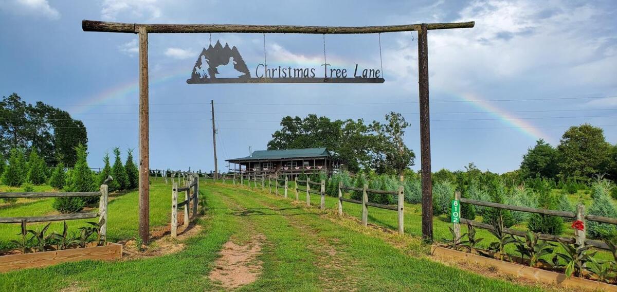 Rural Life On A Real Christmas Tree Farm! Hallmark Experience! Ozark Zewnętrze zdjęcie