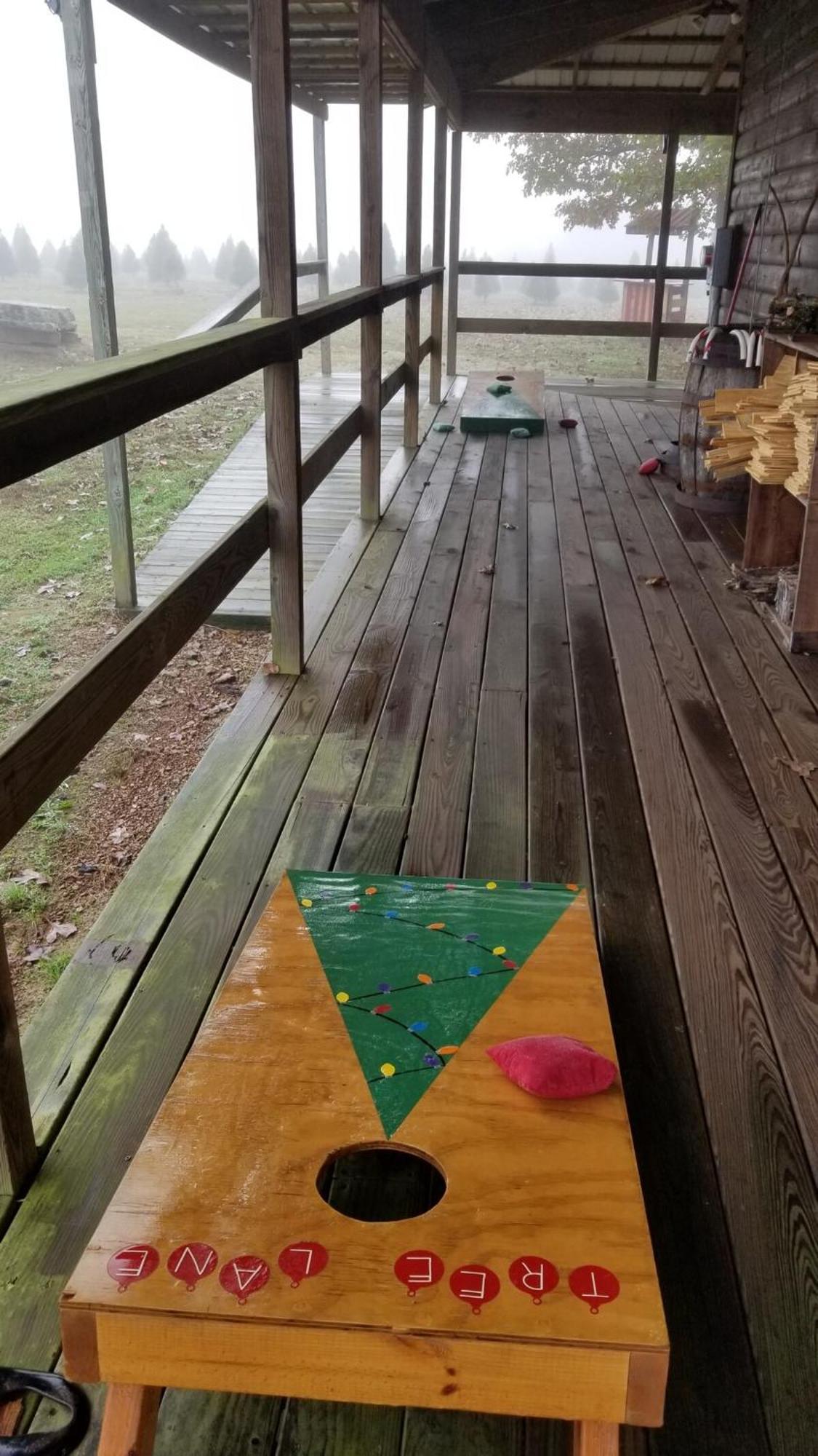 Rural Life On A Real Christmas Tree Farm! Hallmark Experience! Ozark Zewnętrze zdjęcie